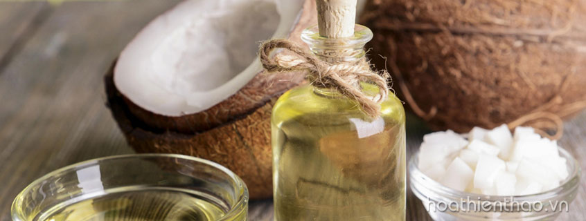 Mặt nạ chăm sóc tóc từ dầu oliu + sữa dừa dưỡng ẩm tóc hiệu quả