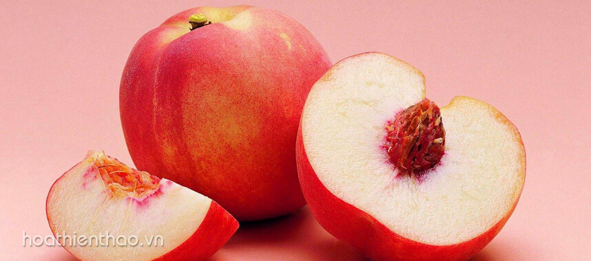 6 cách trị nám hiệu quả nhất bằng trái cây - Hoa Thiên Thảo