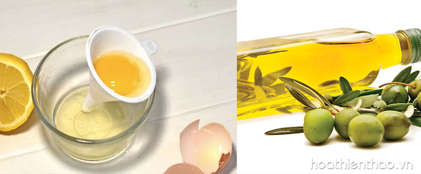 Mặt nạ trứng, dầu oliu và chanh giúp tóc sạch gàu, mềm mượt