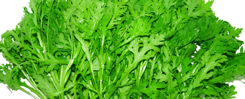 Rau tần ô có tốt cho bà bầu không - Hoa Thien Thao Cosmetics