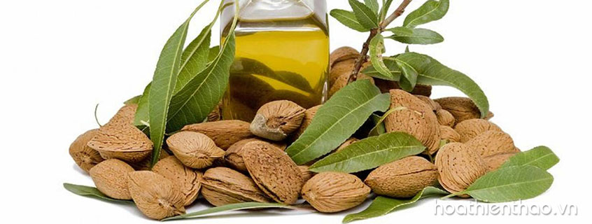 TOP 4 tinh dầu dưỡng da tốt nhất hiện nay bạn nên biết