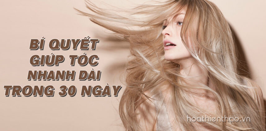 Bí quyết giúp tóc nhanh dài trong 30 ngày - Hoa Thiên Thảo