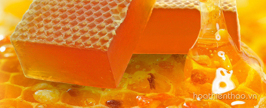 Bật mí cách tắm trắng toàn thân với mật ong - Hoa Thiên Thảo