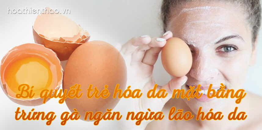 Cách trẻ hóa da mặt bằng trứng gà