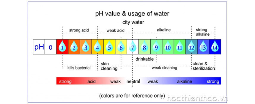 Độ pH của sữa rửa mặt Murad Clarifying Cleanser bao nhiêu - Hoa Thiên Thảo
