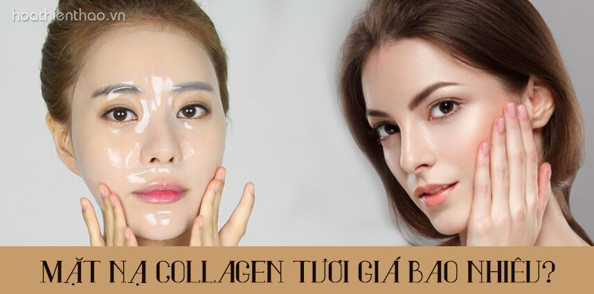 Mặt nạ Collagen tươi giá bao nhiêu - HoaThienThao