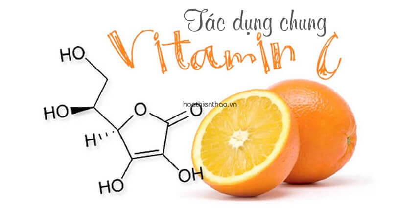Nên dùng serum vitamin C lúc nào - HoaThienThao