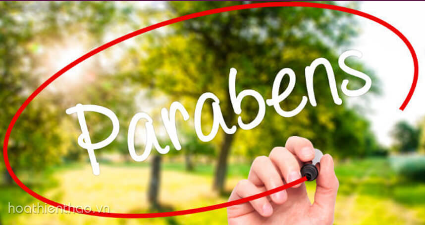 Paraben là gì Paraben trong mỹ phẩm có hại không - Hoa Thiên Thảo