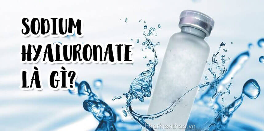 Sodium Hyaluronate là gì và có tác dụng tuyệt vời gì cho làn da?