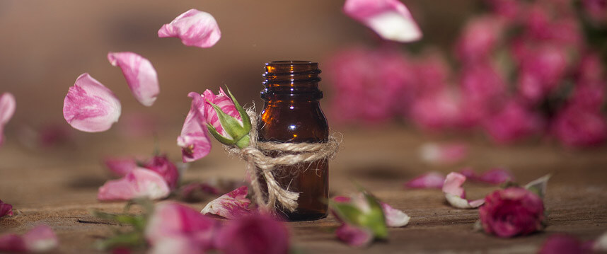 Top 10 loại tinh dầu massage mặt chống lão hóa da - Hoa Thien Thao Cosmetics