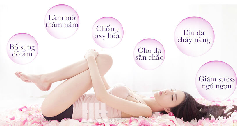 Dầu dưỡng massage toàn thân và da mặt Lavender - Hoa Thiên Thảo