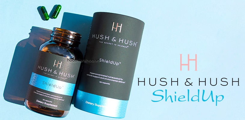 Hush & Hush ShieldUp
